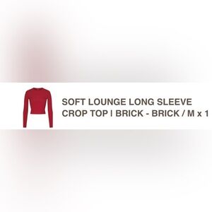 Skims Long sleeve top in Brick color